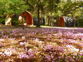 Cabanes des châteaux